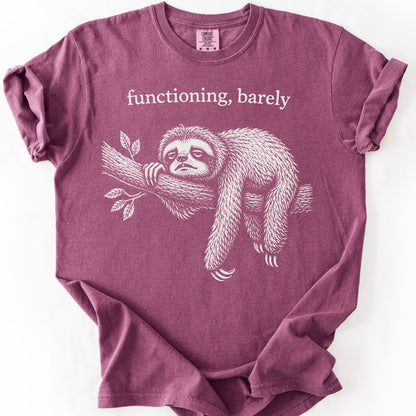 Functioning, Barely Sloth
