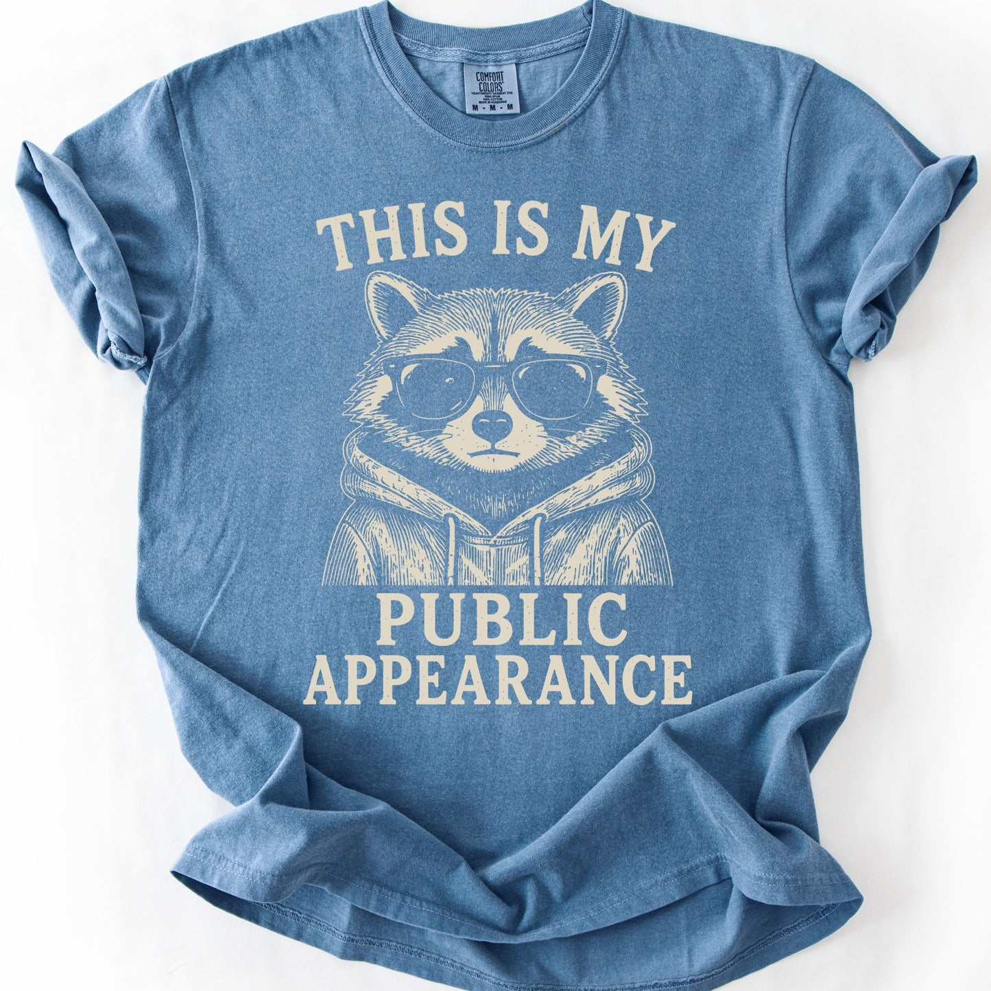 This Is My Public Appearance Tee
