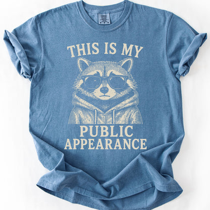 This Is My Public Appearance Tee