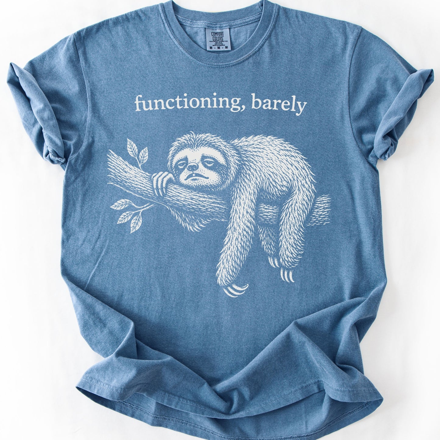 Functioning, Barely Sloth