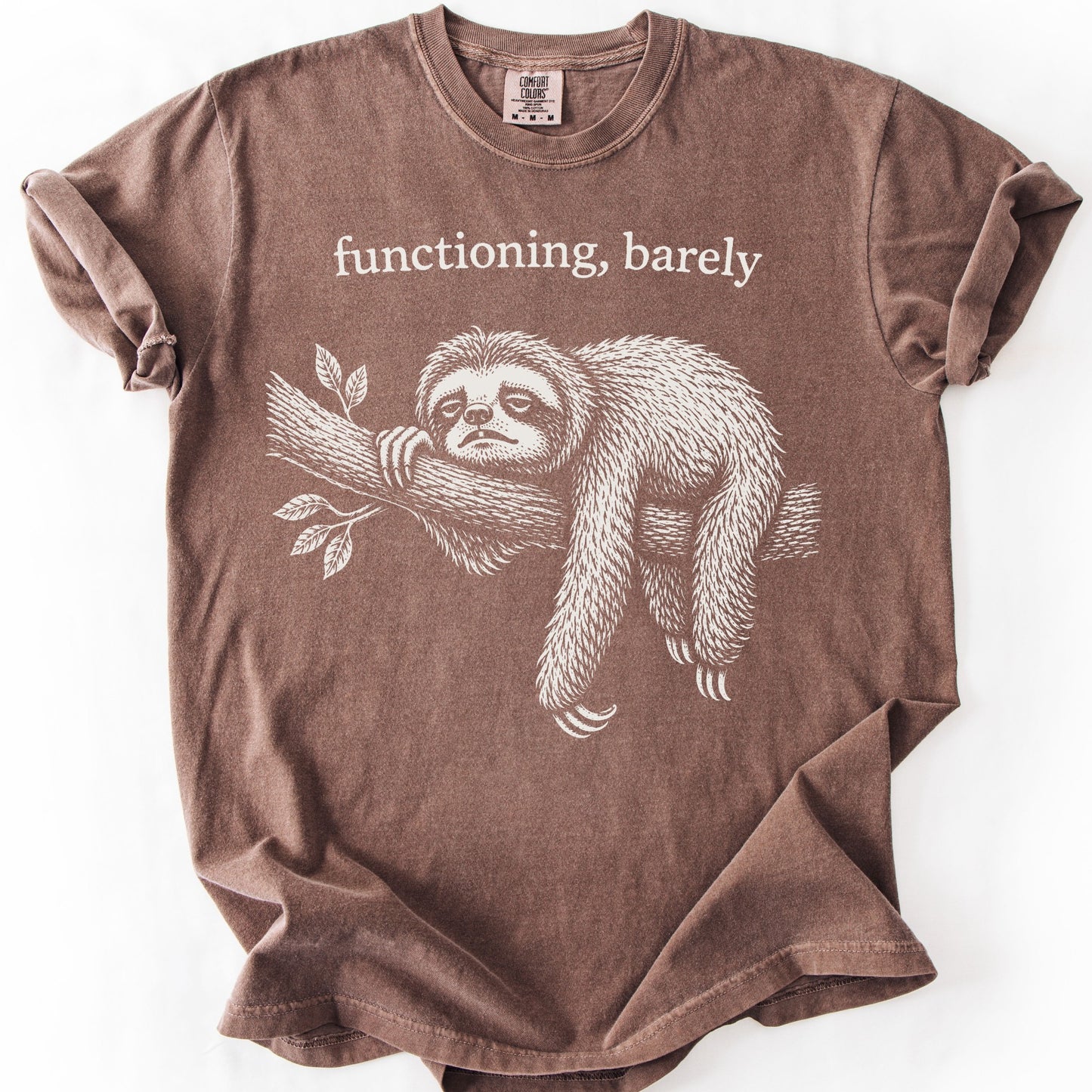 Functioning, Barely Sloth
