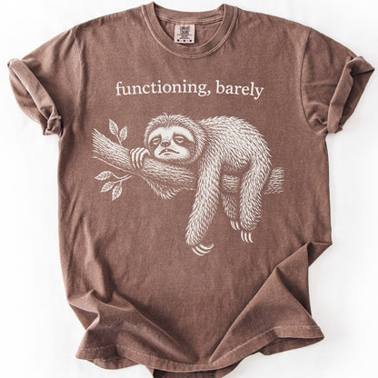 Functioning, Barely Sloth