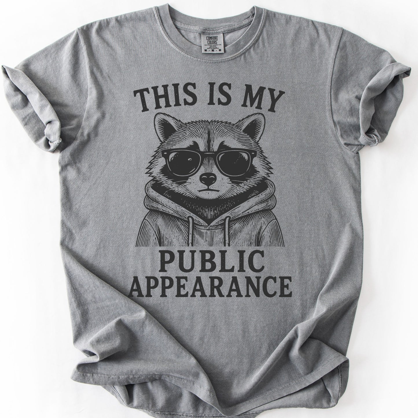This Is My Public Appearance Tee