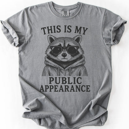 This Is My Public Appearance Tee