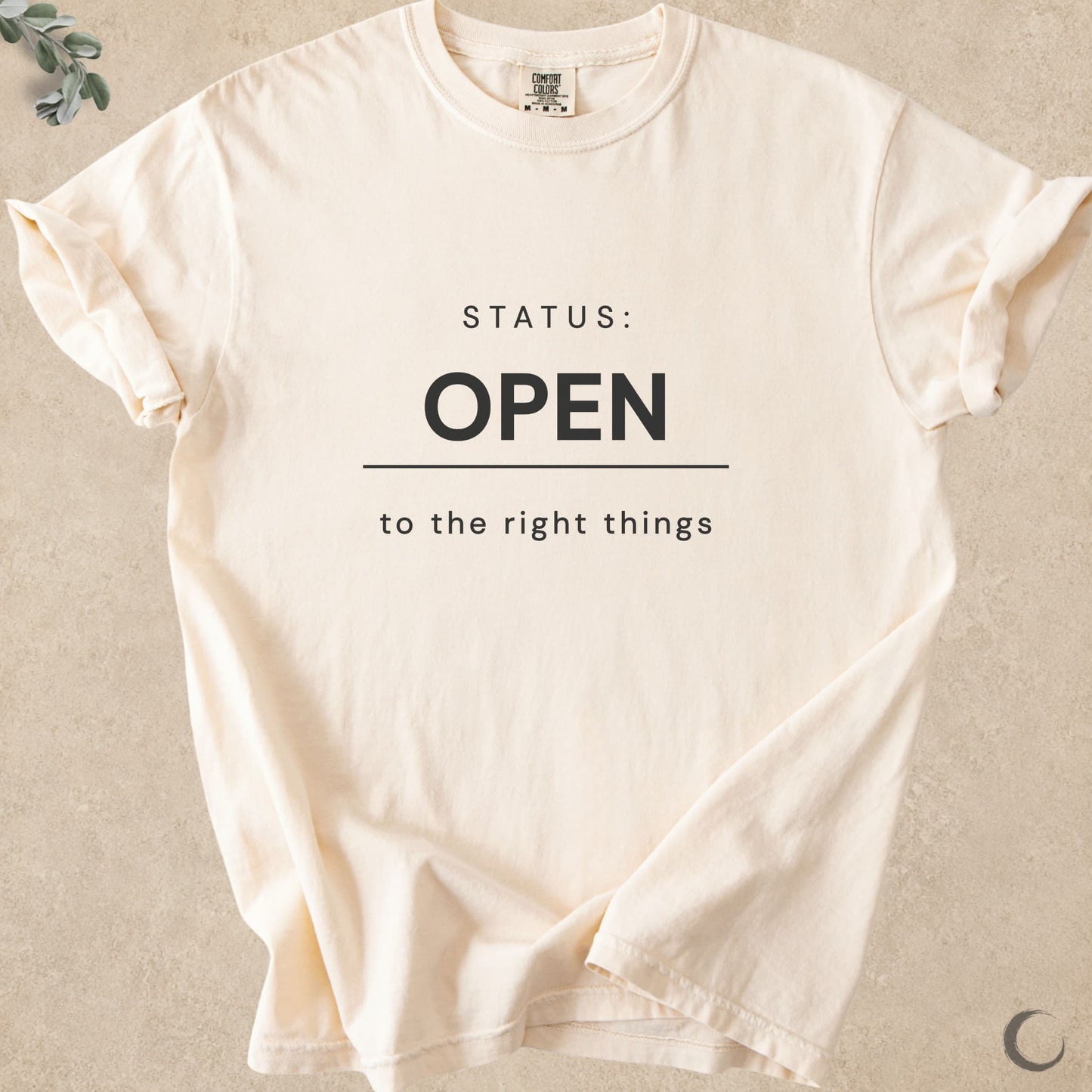 Status Open