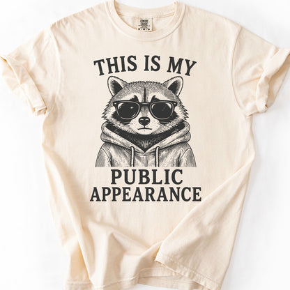 This Is My Public Appearance Tee