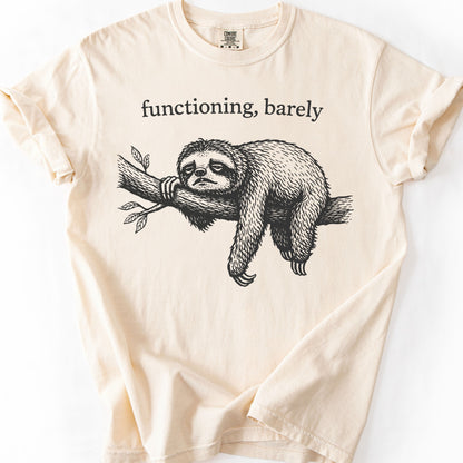 Functioning, Barely Sloth