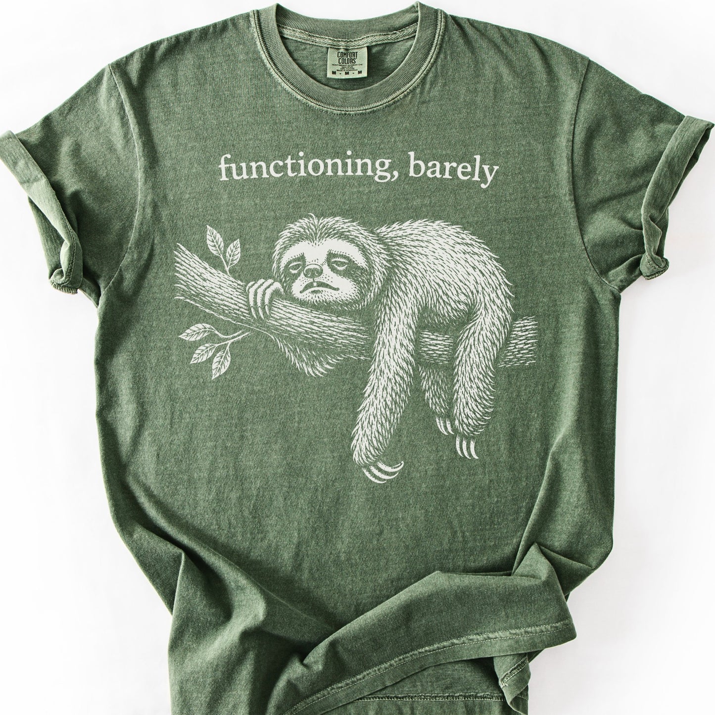 Functioning, Barely Sloth