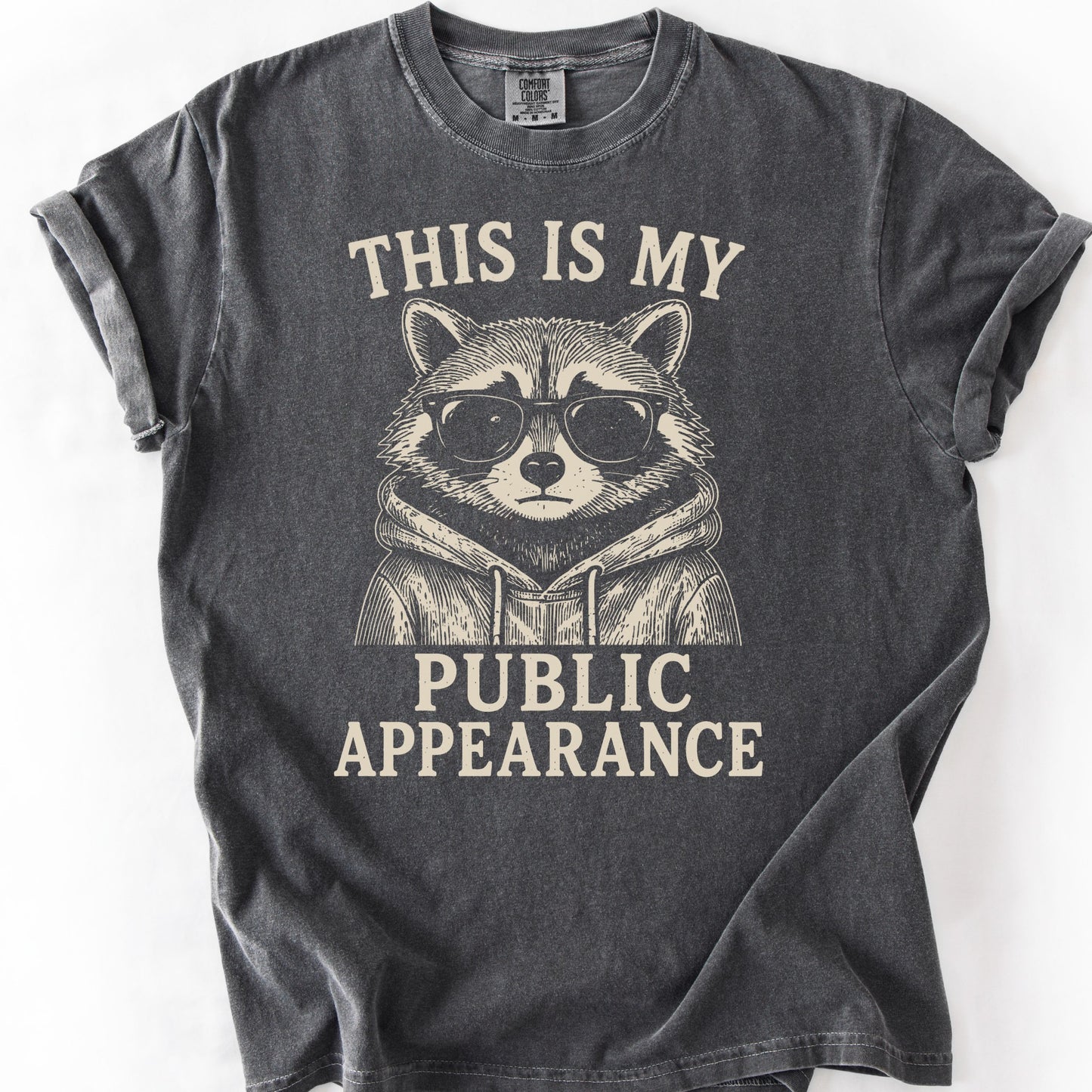 This Is My Public Appearance Tee