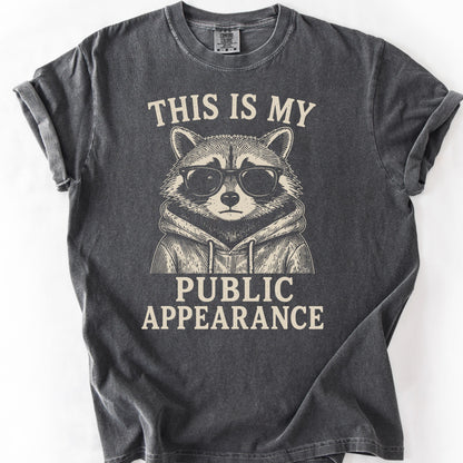 This Is My Public Appearance Tee