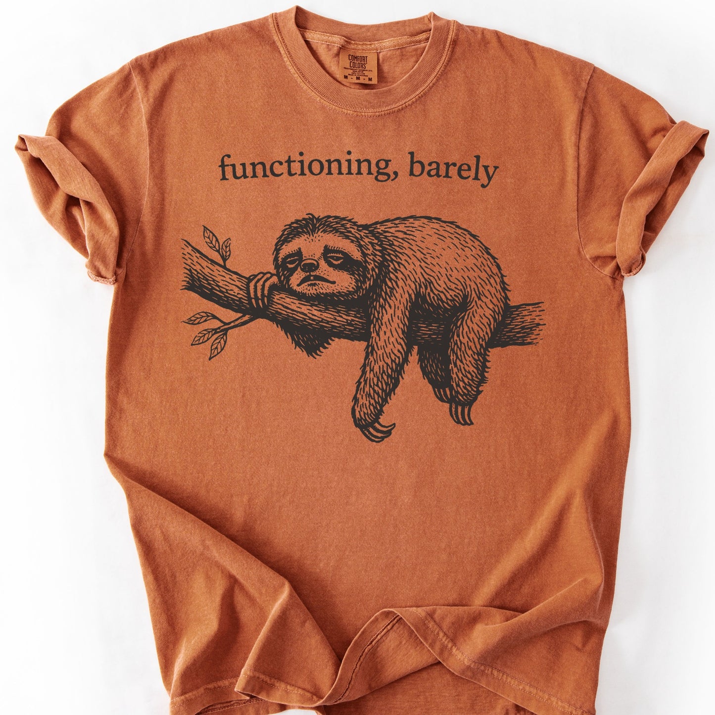 Functioning, Barely Sloth